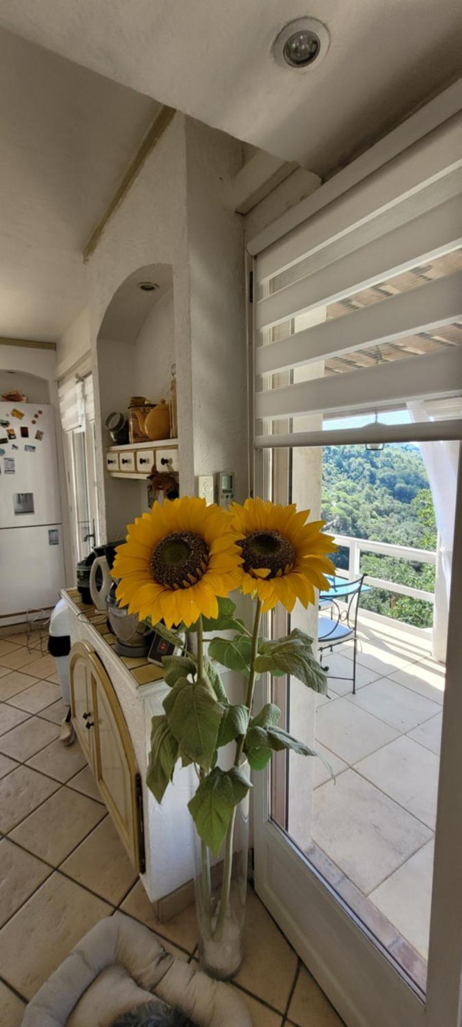 L'Etoile De Nice Villa Colomars Esterno foto